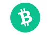 iWild Casino Logo